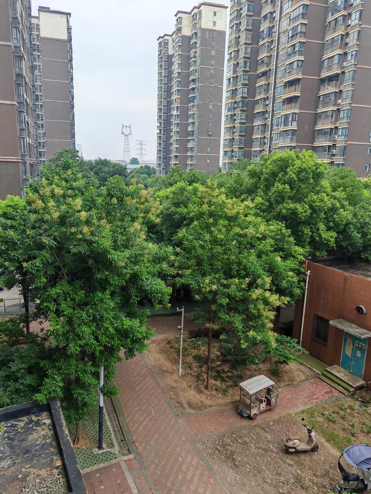 6月29日，武汉阴天有小雨，最高气温24度，最低气温25度，东北风1级，湿度90