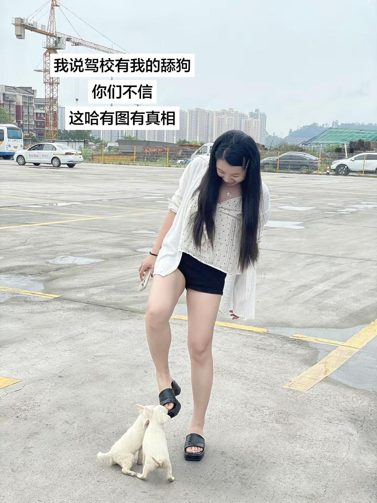 我说驾校有我的“舔狗”你不信，这哈有图有真相舔狗 力帆驾校 女教练 重庆学车