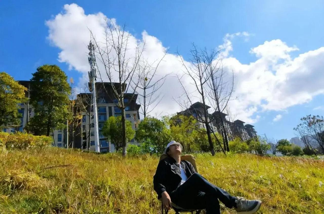 在2024年的金融市场，80%的交易新手为何因“聪明”策略血本无归？靠感觉预测的