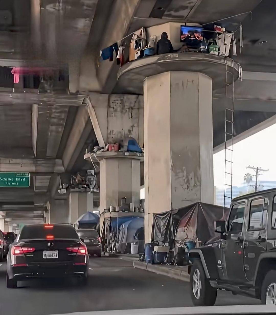 近日，洛杉矶一处高架桥立柱平台上，被路人拍到，上面的流浪汉过得相当“滋润”！
