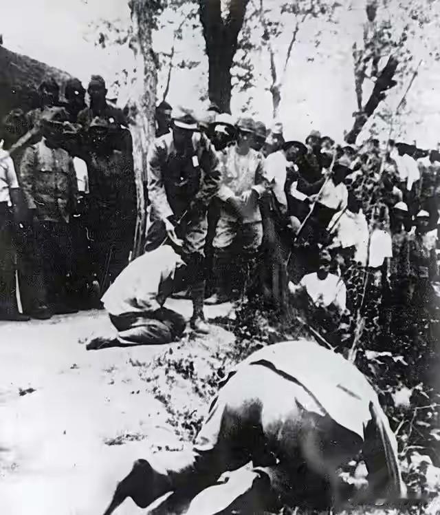 日本鬼子对我们同胞的屠戮，已经远远突破了人性的底线，即便是在整个动物世界，同类之