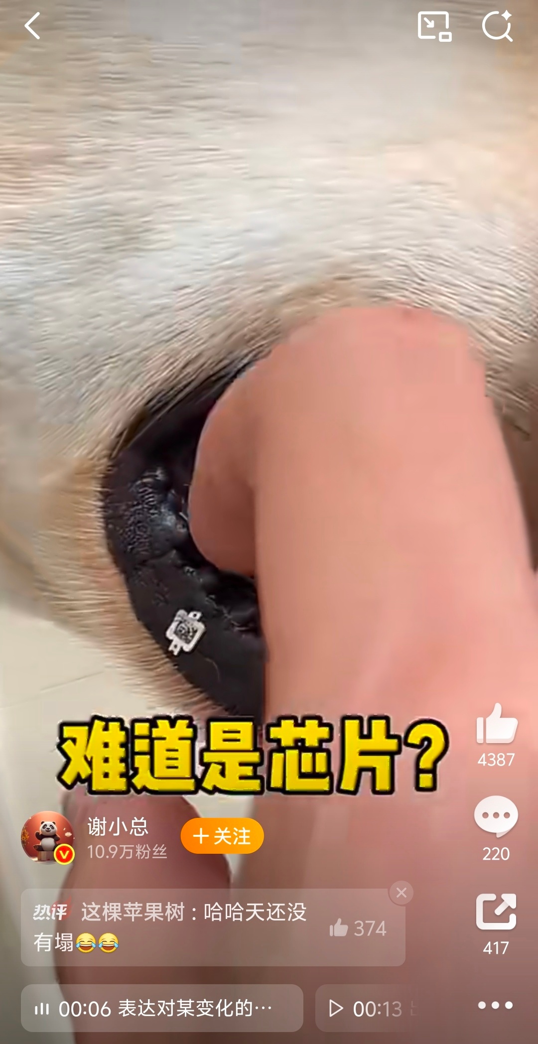 都已经咬成这样了，真的还能刷吗？