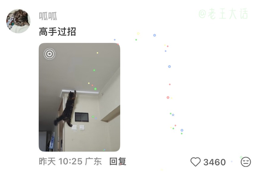 这核心力量，猫德学院优秀毕业生 