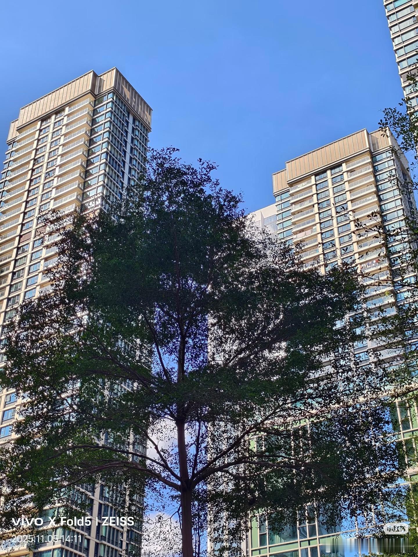 万科瑧山府）4套豪宅即将公开拍卖安托山花园(一期)3栋4101-4120万安托山