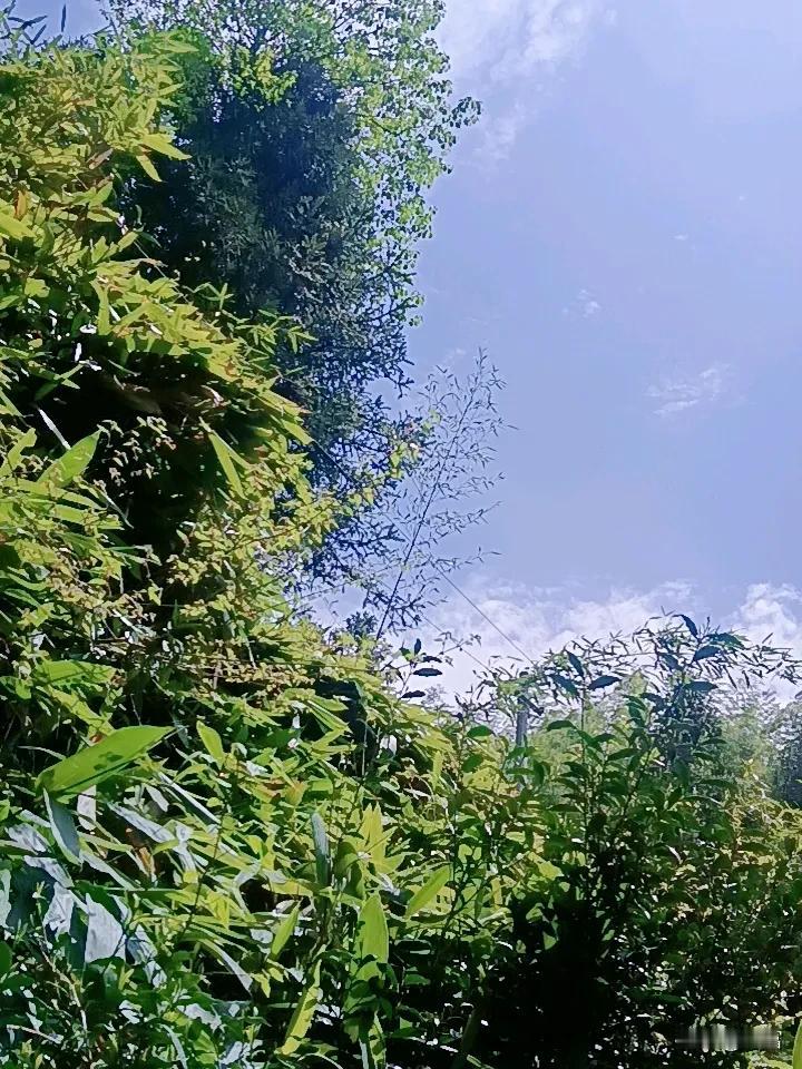 春日生活打卡季 阳光明媚的春日，简直是大自然馈赠的礼物！今年春天来得早，万物复苏