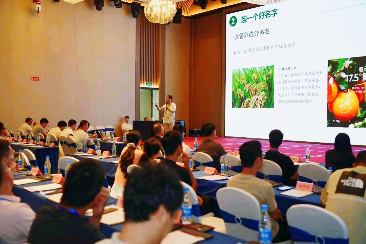 干货满满！“深汕友农”举办区域公用品牌营销培训班为做好与农业企业的对接，提高从业