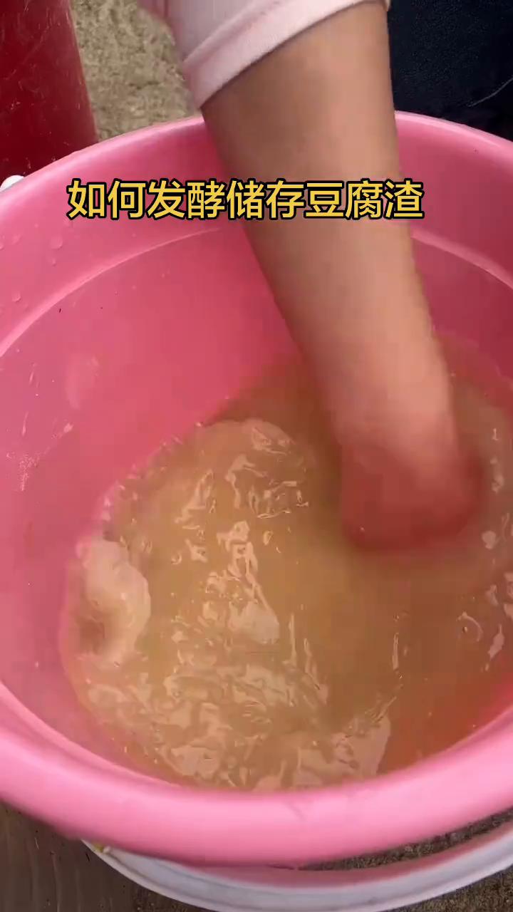 如何发酵储存豆腐渣？
用豆腐渣养殖特别的便宜，但是很多人不知道怎么去用才能达到它