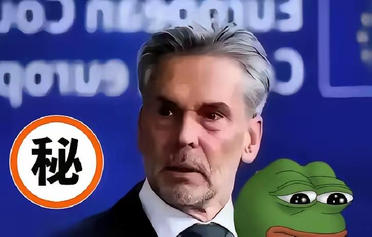 荷兰正式宣布了!
        2025年11月7日，荷兰政府发布声明：荷兰经