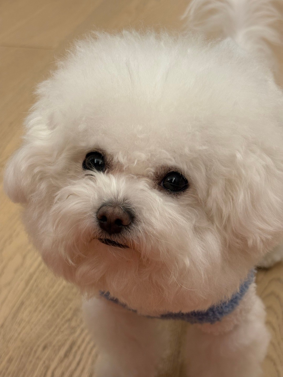 🥰 ​​​