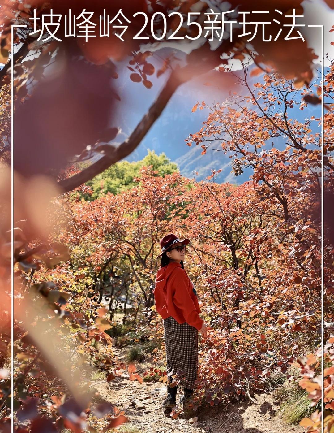 不只红叶！目测坡峰岭今年要变身文艺赏秋地
·
今天（10.21）坡峰岭实拍！
山
