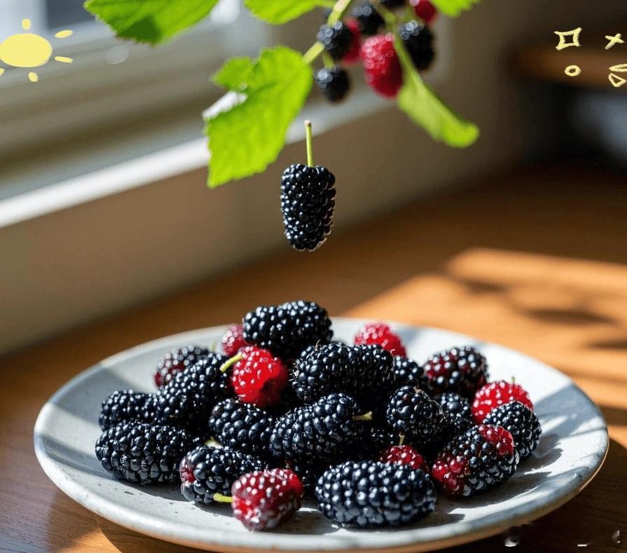 桑椹｜水果里的「乌鸡白凤丸」，滋阴补血第一果中医溯源·性味归经性味：甘、酸，寒归