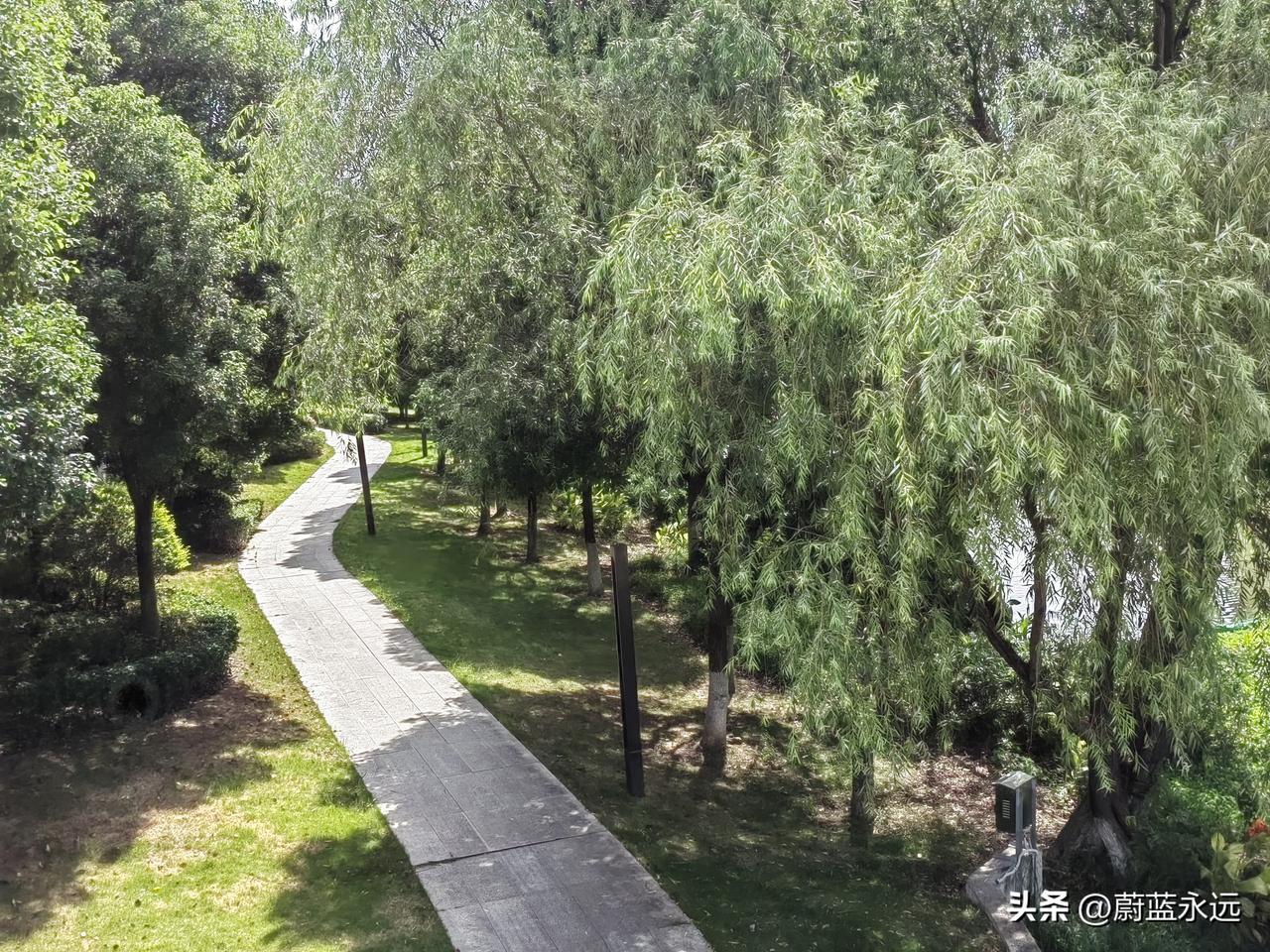 今天有点事，
我快中午了我才去买菜，
路过一片树林，
我刚把太阳帽摘下，
一滴水