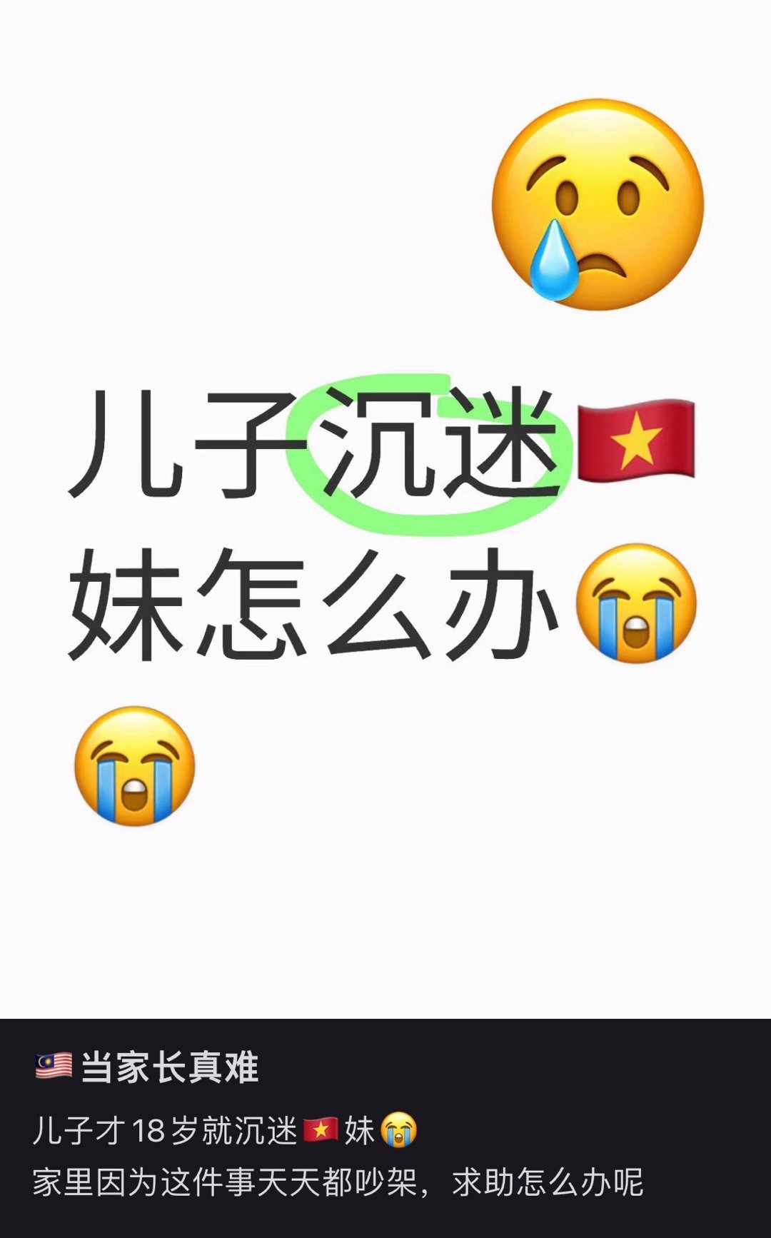 儿子沉迷越南妹怎么办，在线等。。。 ​​​