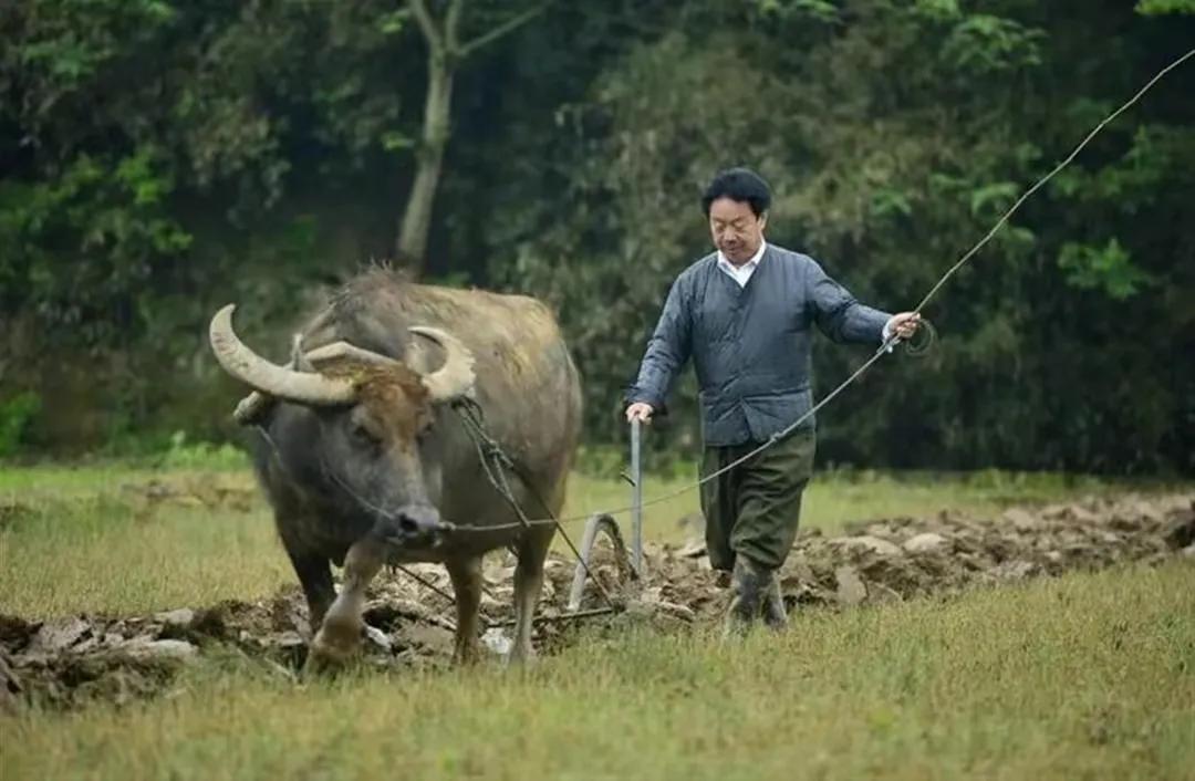 返璞归真总是情！退休市长李豆罗种地成网红：1、我从农民当上市长花了40年；2、我