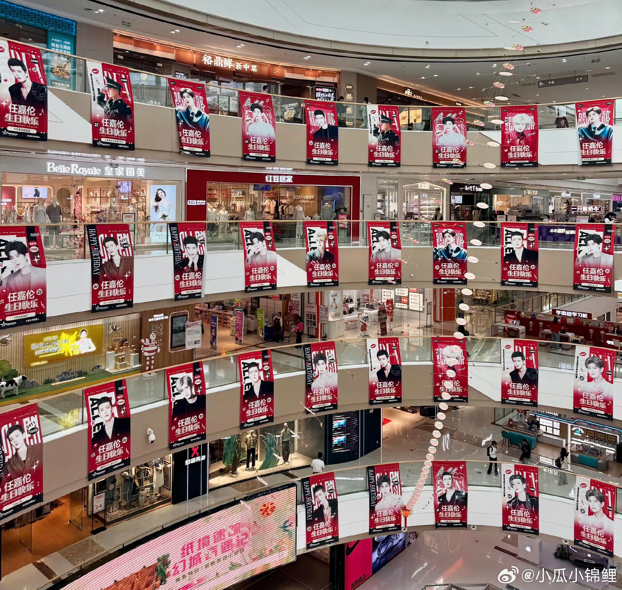 好多任嘉伦啊放眼望去全是他 