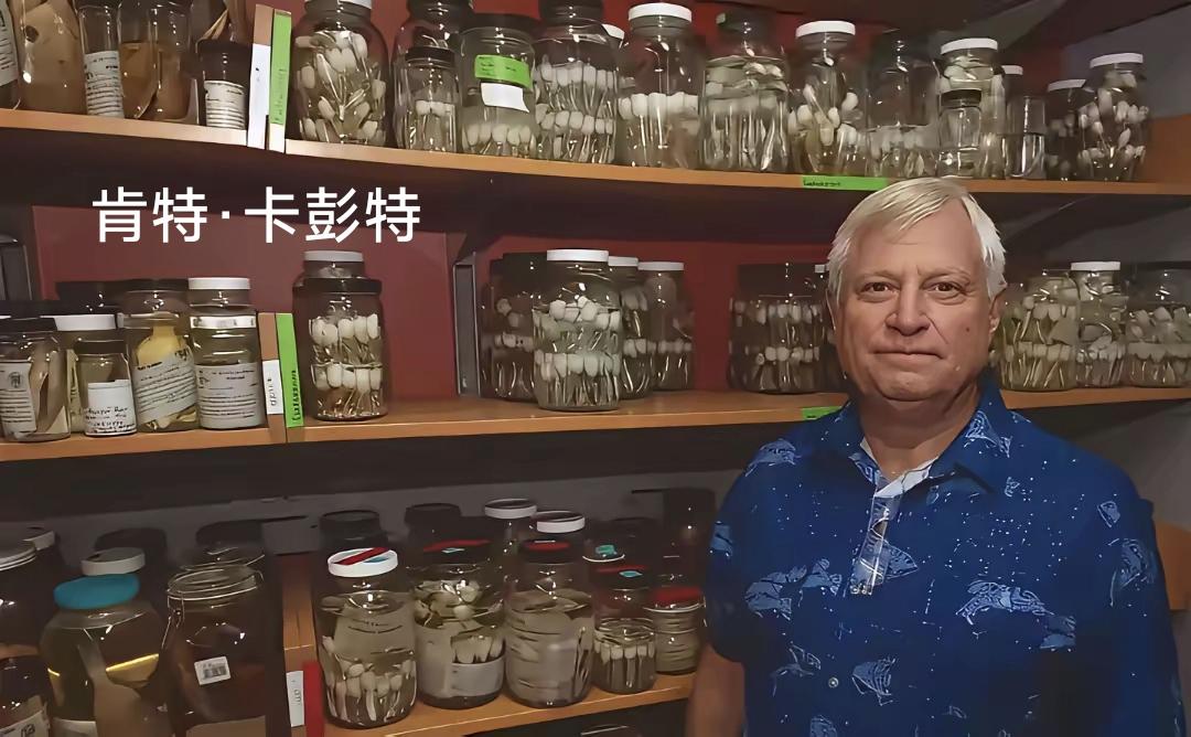 当年帮菲律宾搞2016年南海非法仲裁作证的美国专家肯特·卡彭特，在菲律宾家里被蒙