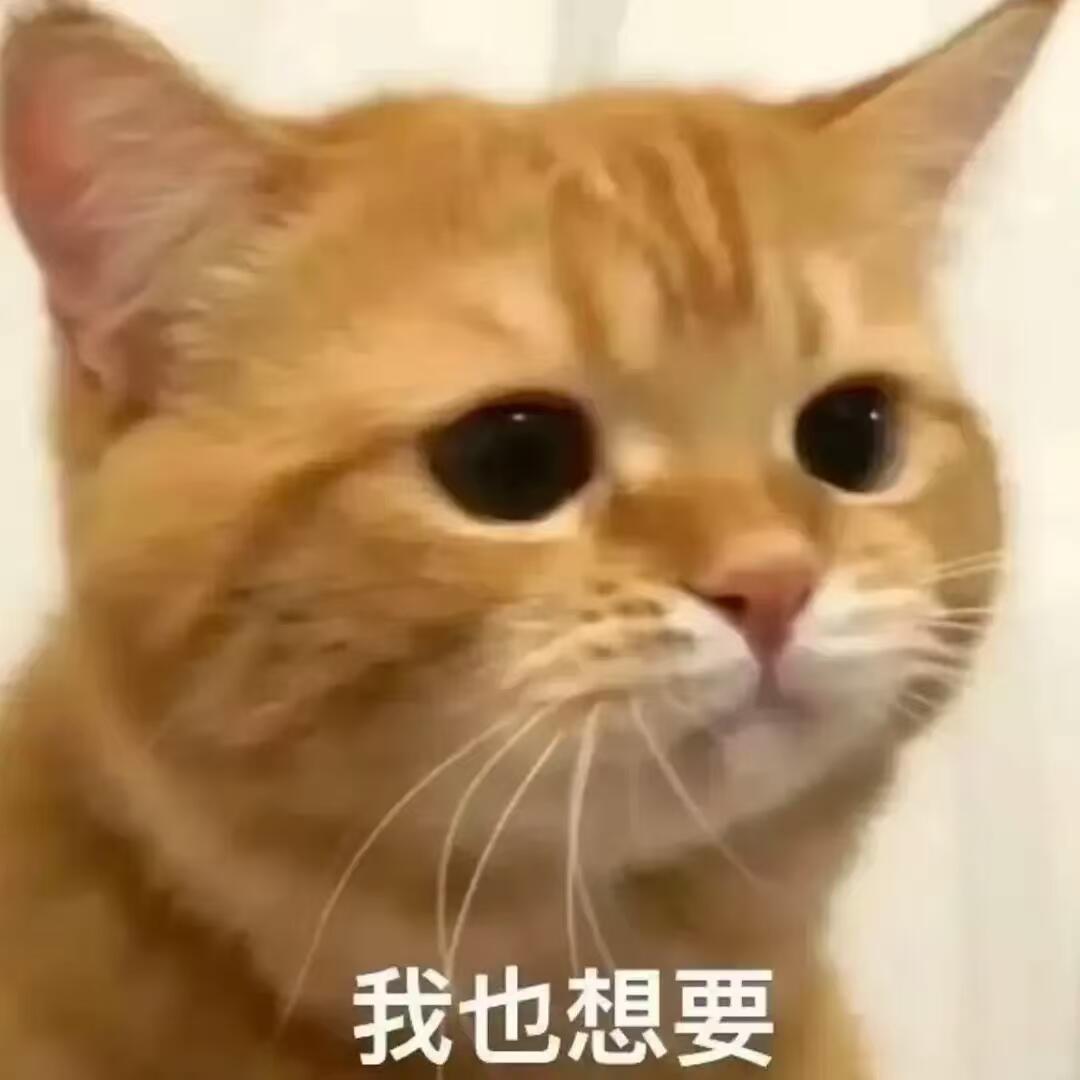 首页别啊了，能不能先放视频出来？我在高铁上面急得嗷嗷叫