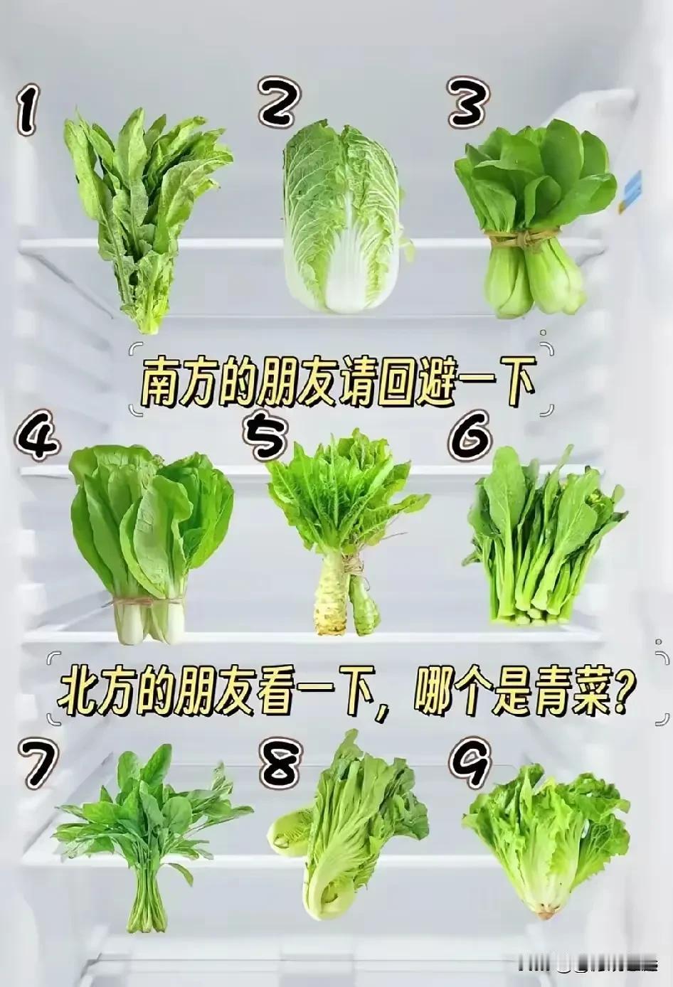 这不一样吗，都是青菜啊！

南方的朋友们你们管哪个叫青菜？

老家山东，管这些带