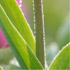 阳光信用  💫阳光信用  💫每日一善要得到你就必须要付出，要付出你还要学会坚