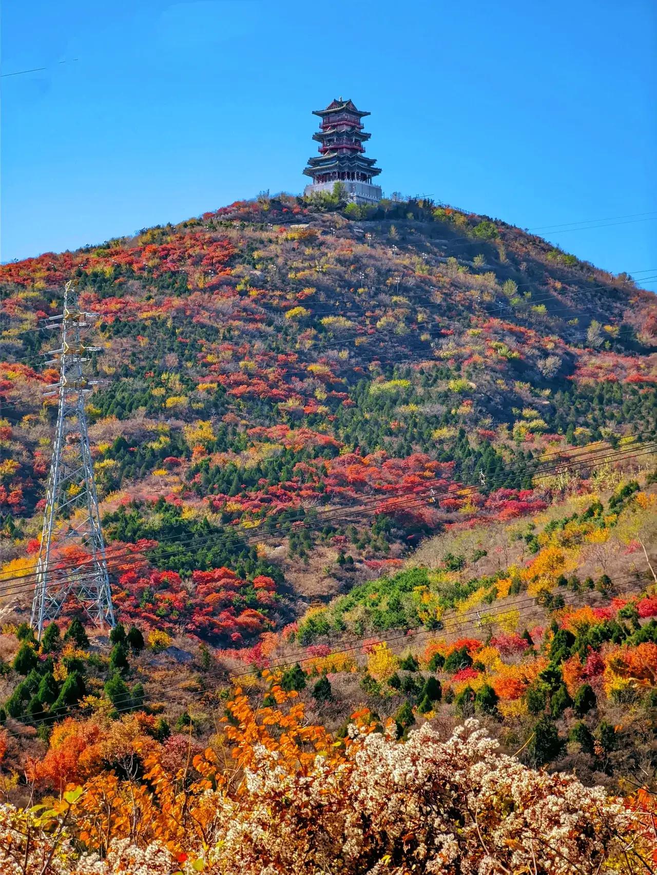 身在西安，非常怀念北京的秋。在南方待了十几年 后来到了北京，才发现北京是全国最美