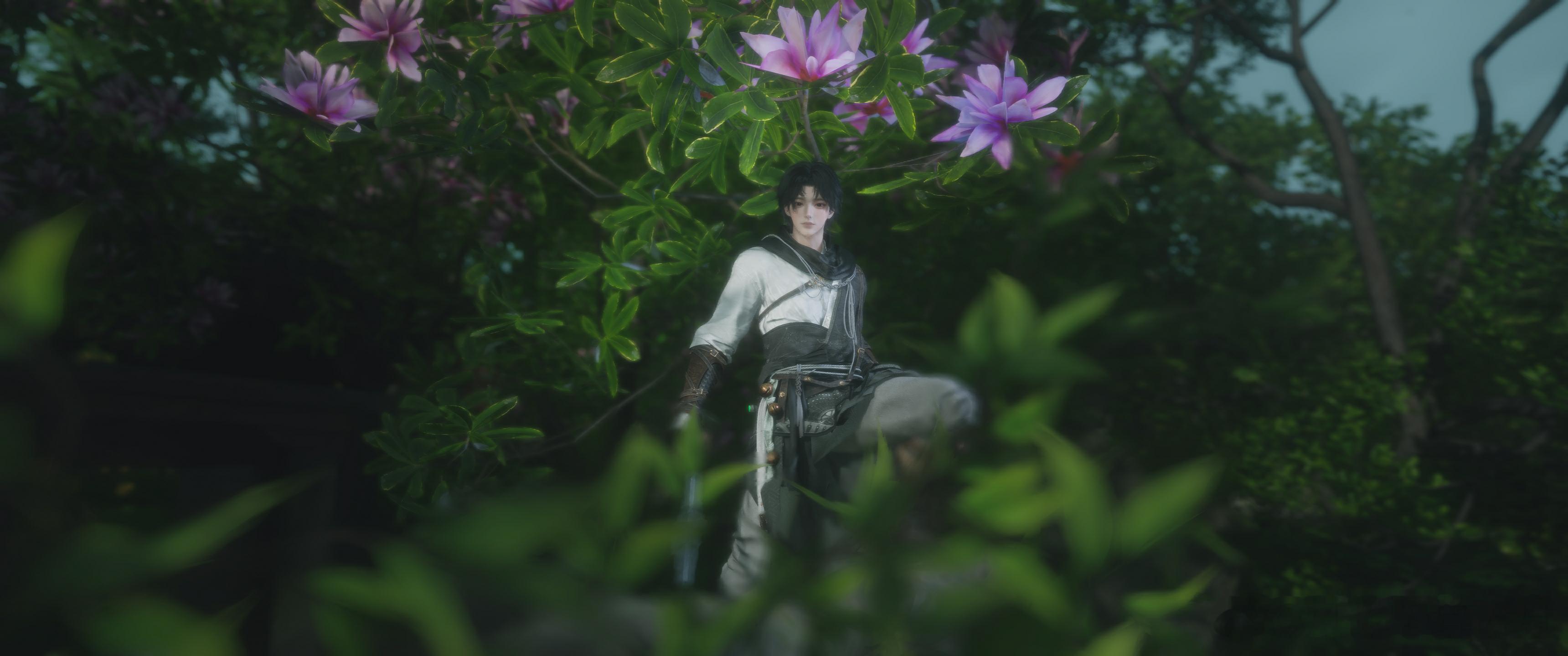墙头马上摇香菇…… 