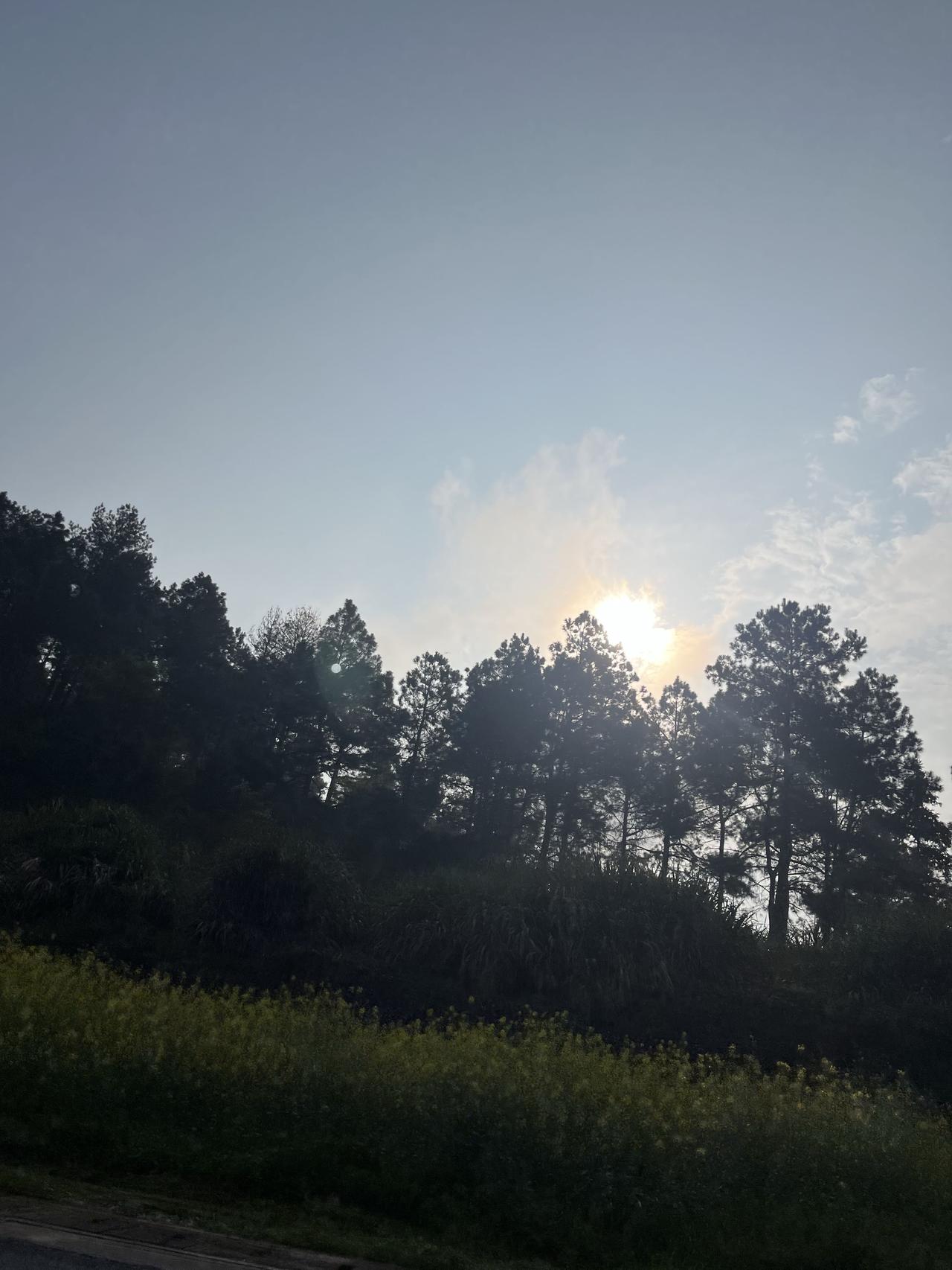 晚清名臣中，曾国藩不算最有天赋的那个。

他自己都承认，脑子慢，记性差。可就是这