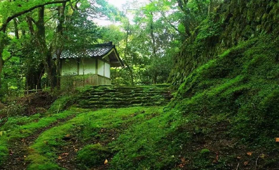 空山不见人，但闻人语响。
返景入深林，复照青苔上。