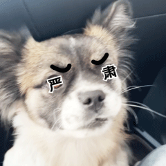 宜宾地震监控画面大早上醒来才知道地震了