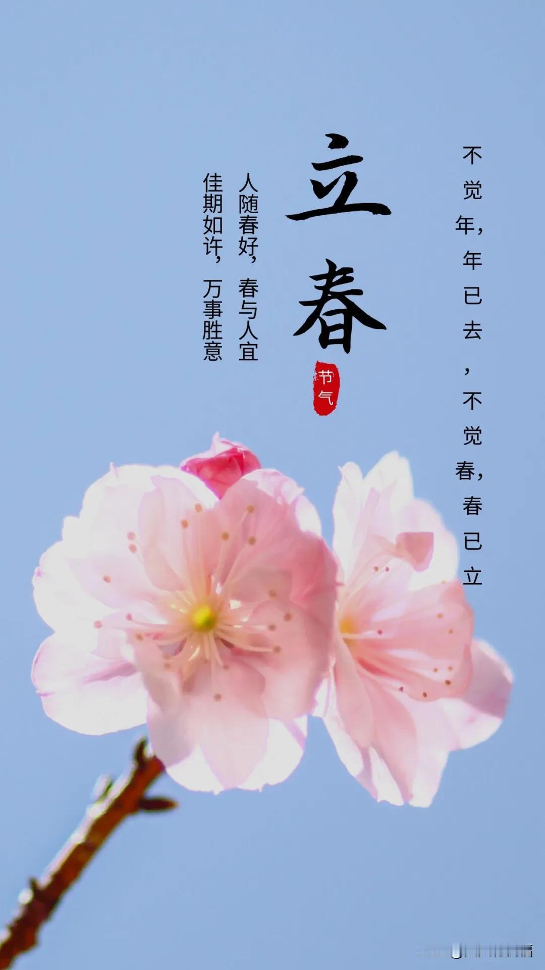 立春时节，人随春好，春与人宜，佳期如许，万事胜意


不觉年，年已去
不觉春，春