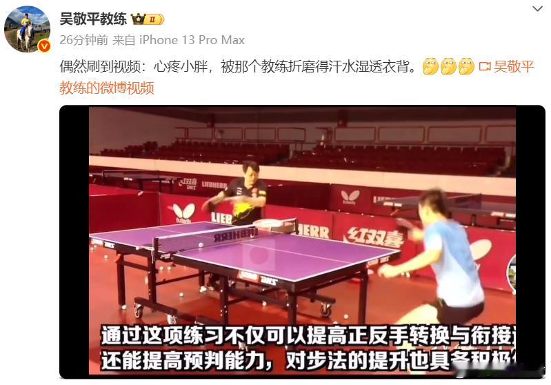 热点解读樊振东 谁都想要拥有一个可以让其受到折磨的教练。这个教练的待遇一般人享受