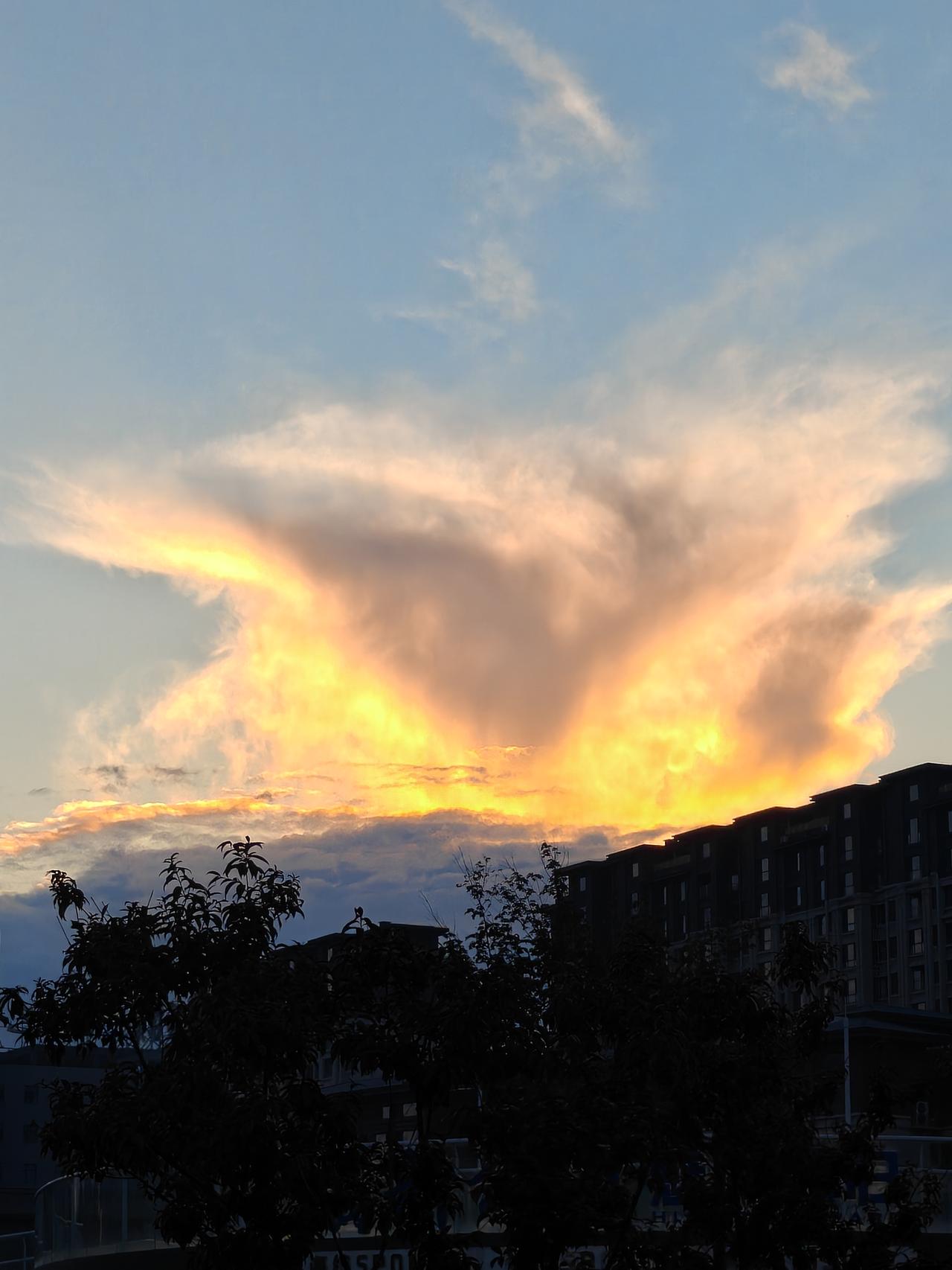 晒图笔记大赛夕阳似火，而且像一把燃烧的火炬
