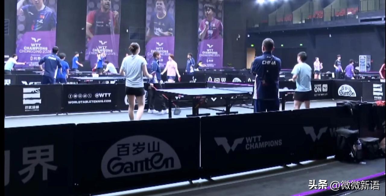 国乒队员们都上训了，今天的训练馆里就没有那么挤了，蒯曼、王楚钦晚上有比赛，他们上