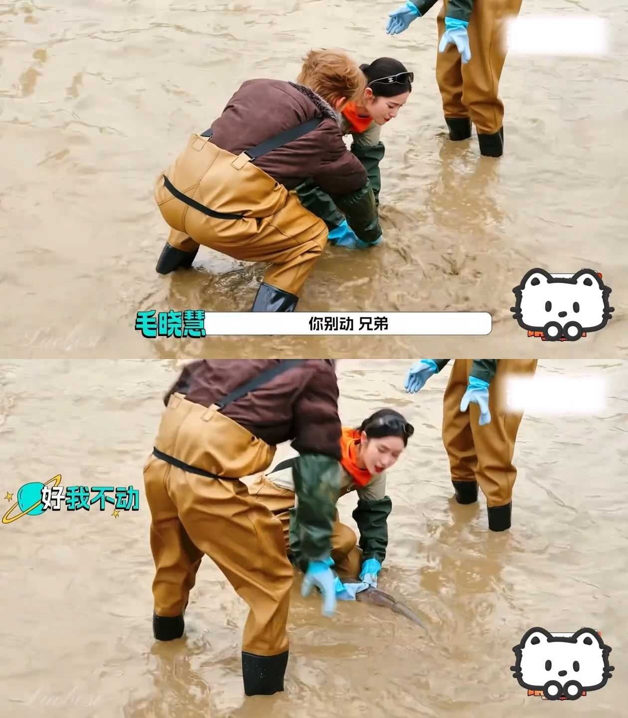 毛晓慧何浩楠说兄弟谁是兄弟毛晓慧何浩楠这段可加入中文考试素材了 哈哈哈哈哈哈哈毛