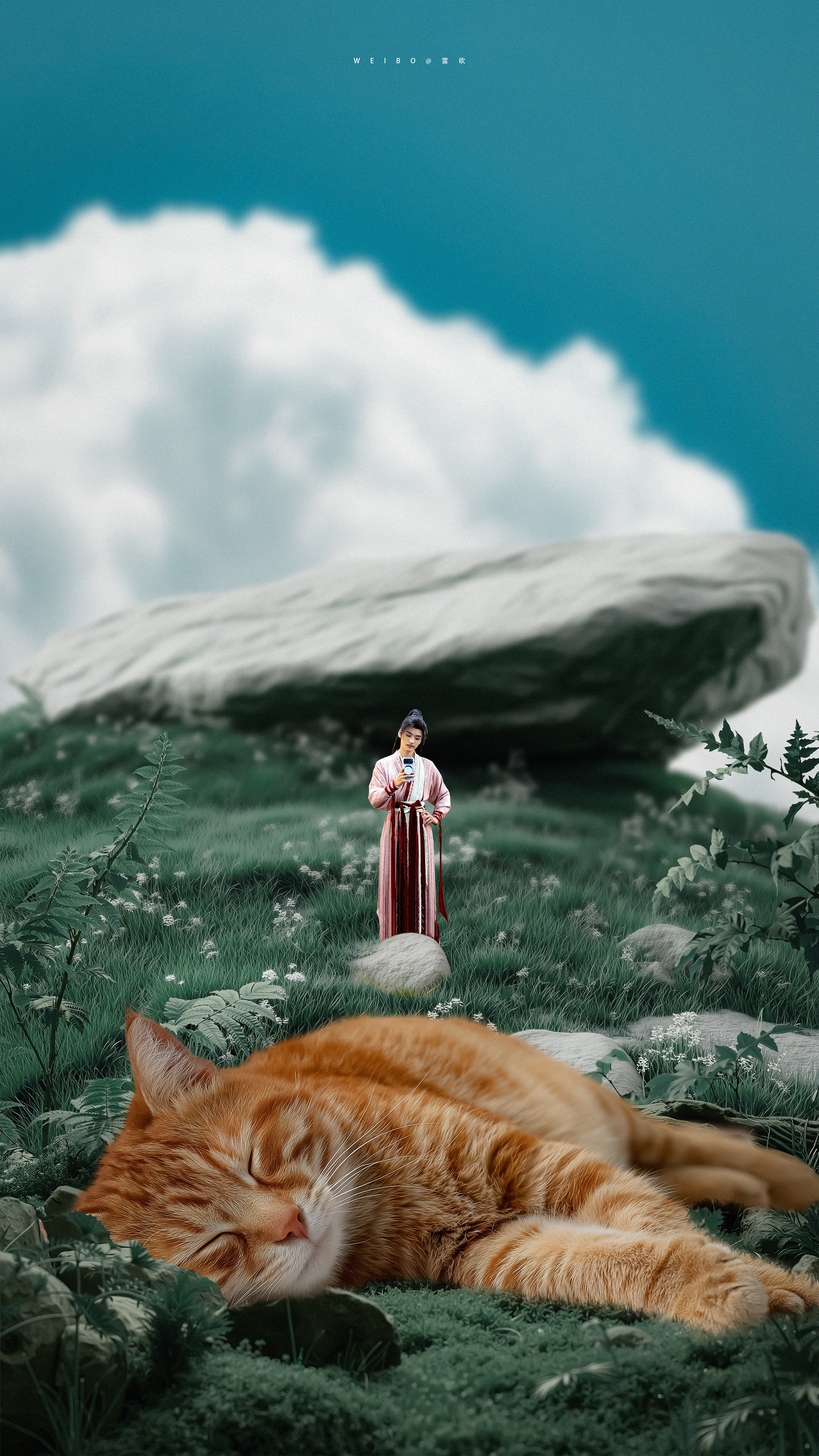 陆小凤变小的一天——小猫原来这么大只的吗？拍一张先。龚俊陆小凤 丨 龚俊凤舞九天