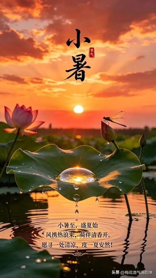 2026/07/07/（农历五月廿三）星期二早上好！小暑时节，荷塘月色，清凉一夏