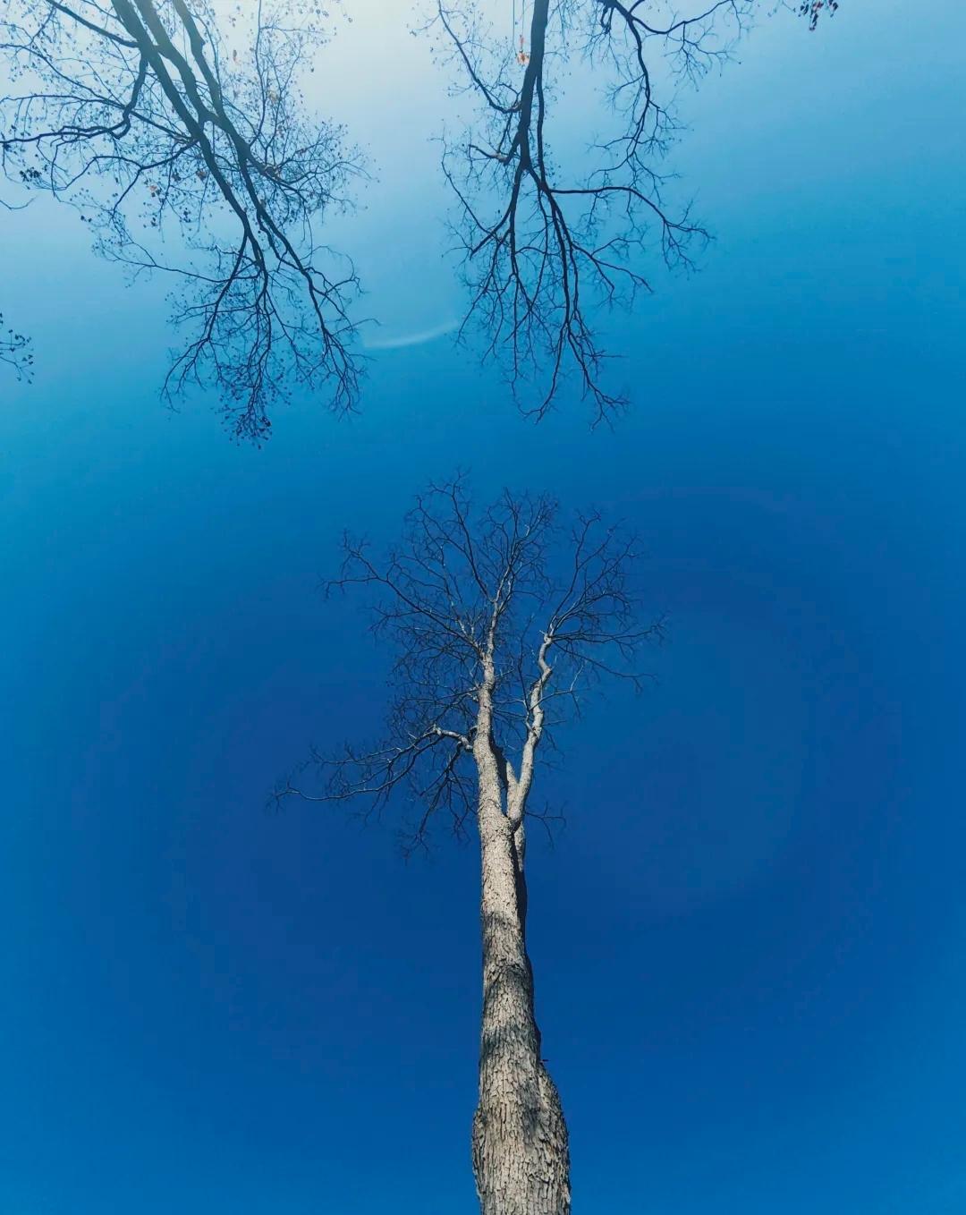 徽州蓝调

什么都无需写✍🏻

留下巨大的语言空白

等冷风吹进来

也等雪花
