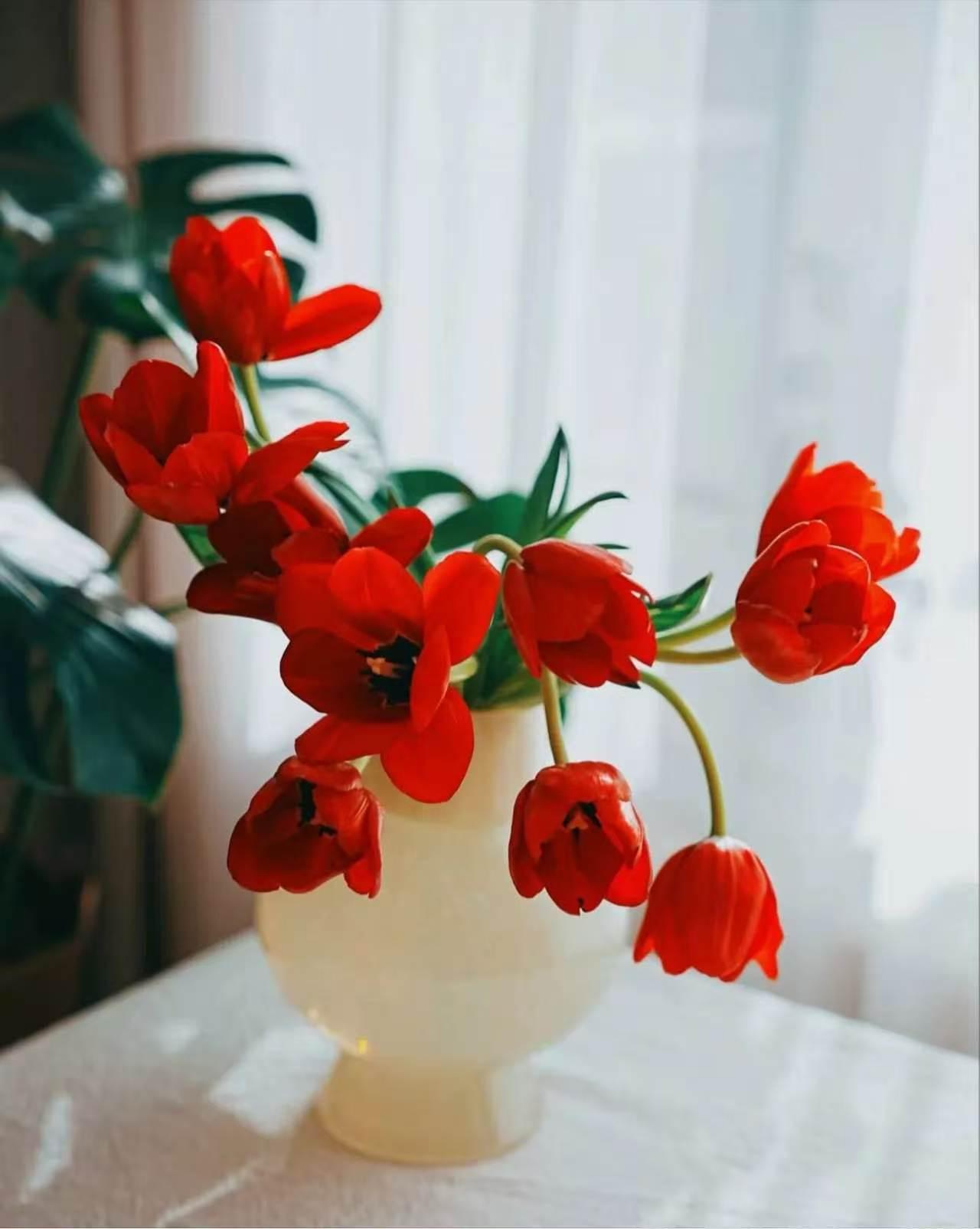 上个月我每天学三小时英语，还加了五个学习群，结果月底连一篇英文邮件都写不利索。
