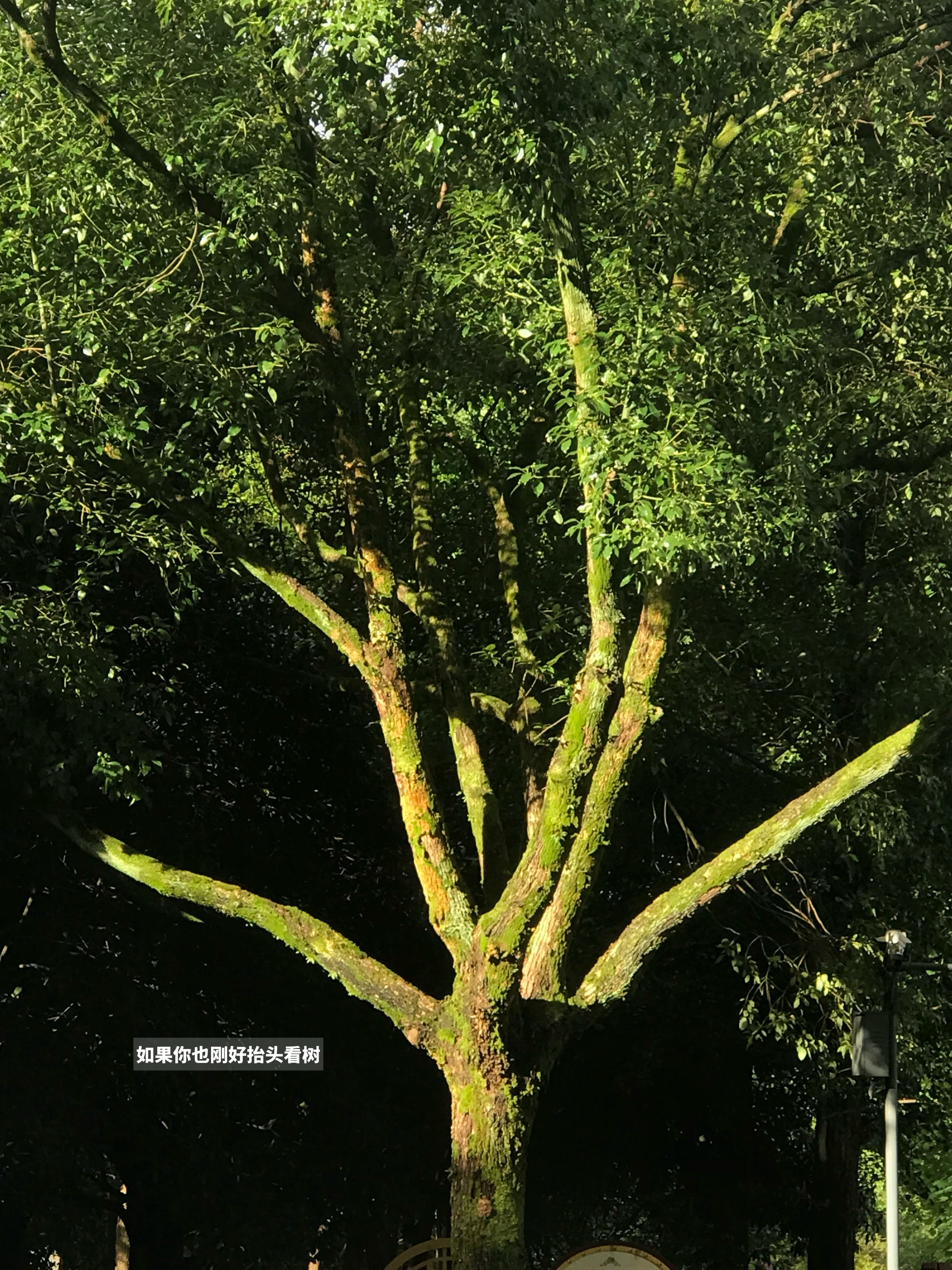 📆𝐃𝐚𝐢𝐥𝐲 𝐏𝐥𝐨𝐠 121生活一术家