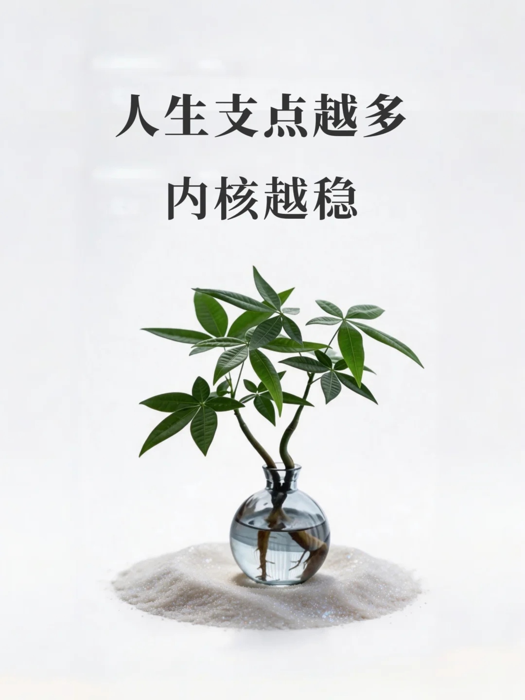 长期主义：人生支点越多，内核越稳！
