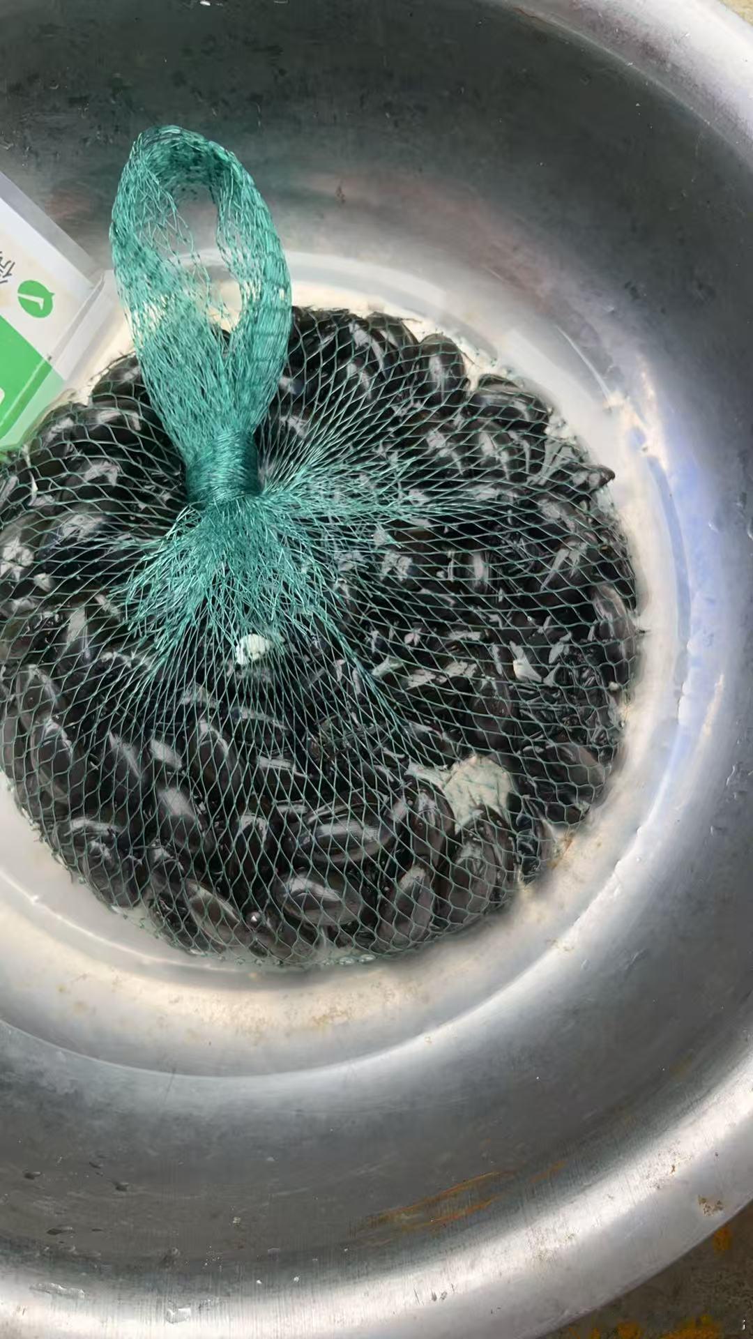 知道这是什么吗？ 