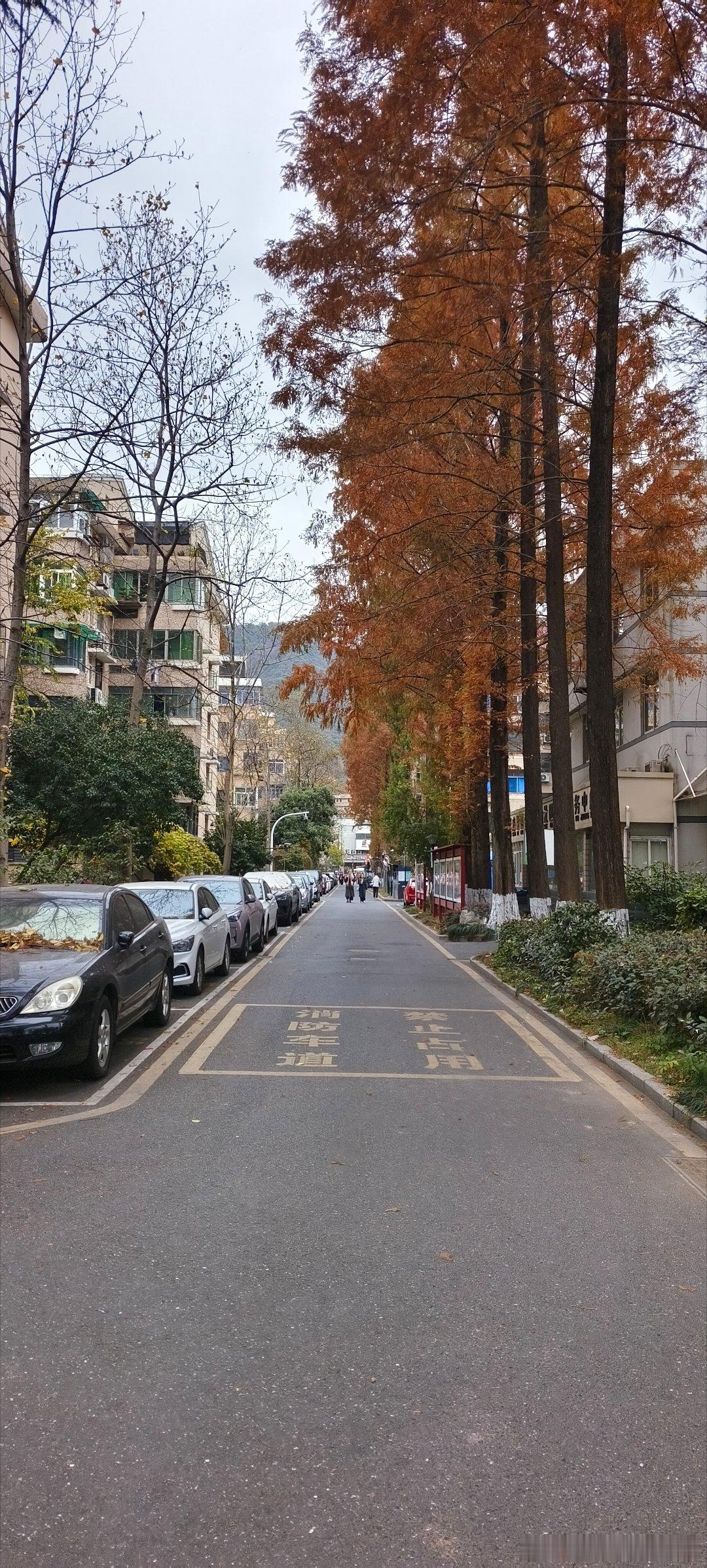 休闲的一天 杭州·杭州半山国家森林公园