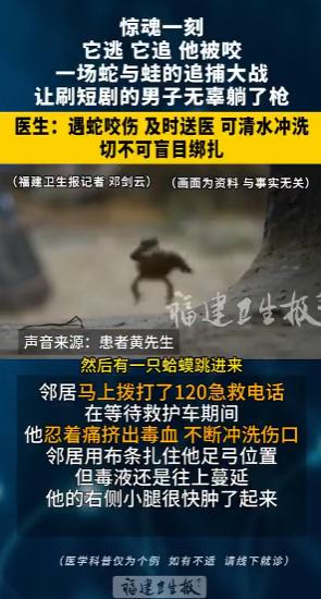 “真倒霉啊！”7月9日报道，福建福州，一男子刷短剧正入迷，一条眼镜蛇正追捕蛤蟆，