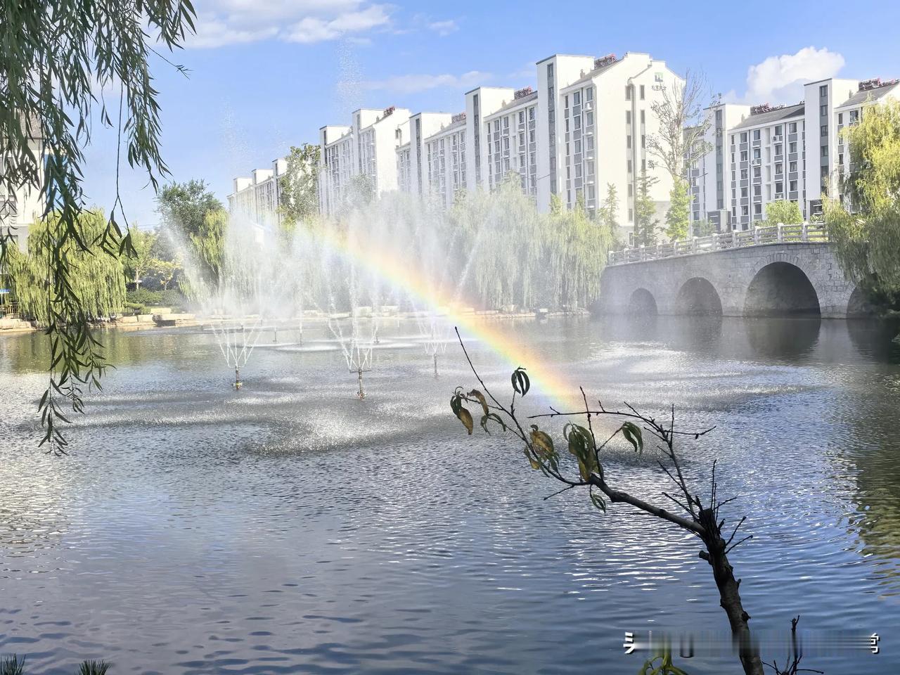 每天晨跑一公里，步行6000步，这是有氧运动。

靠墙静蹲：每组20秒，每天练5