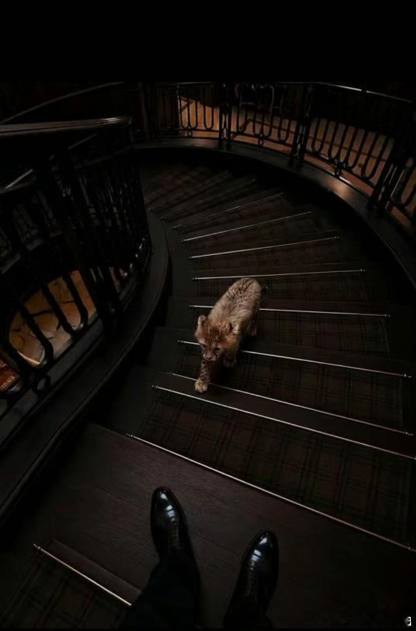 周三市场整体震荡，成交量继续萎缩，想要走出目前反复磨底的状态，大盘需要几个条件一