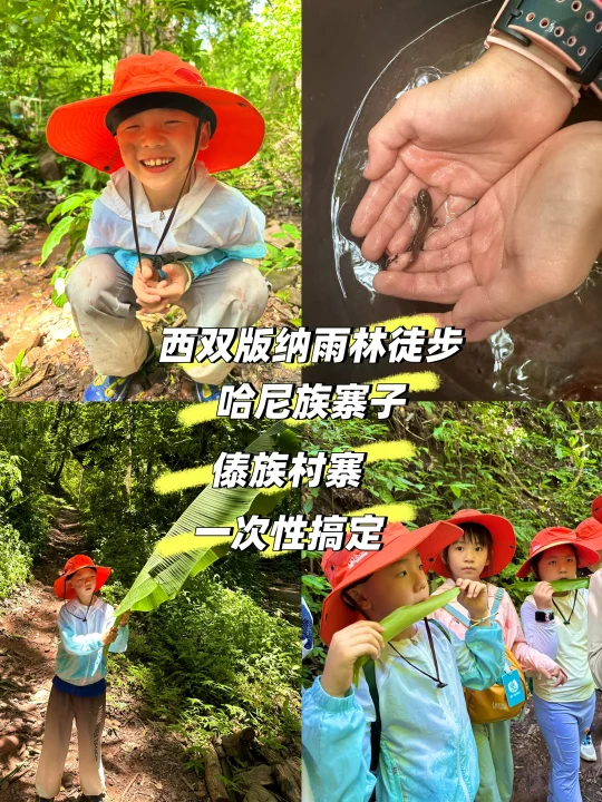 西双版纳雨林徒步+哈尼族寨子+傣族村寨