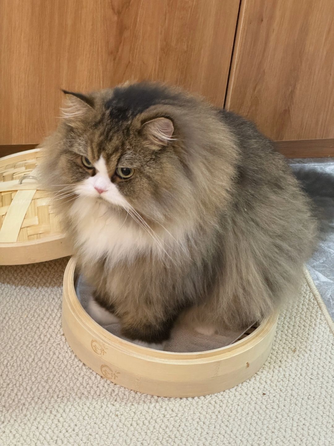 懂事的宝宝想给麻麻加餐