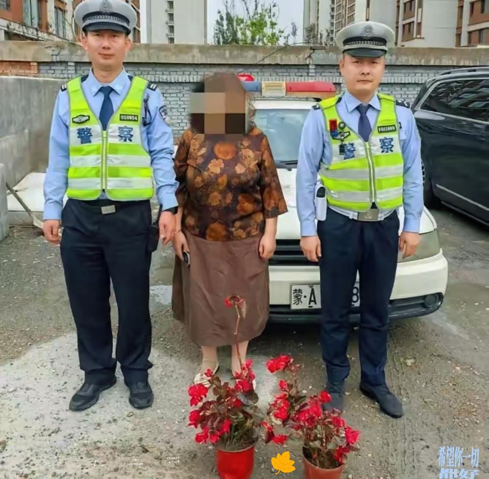 家人们快看这糊涂事！呼和浩特李女士开车路过东二环，竟盯上护栏上的海棠花，趁车少停