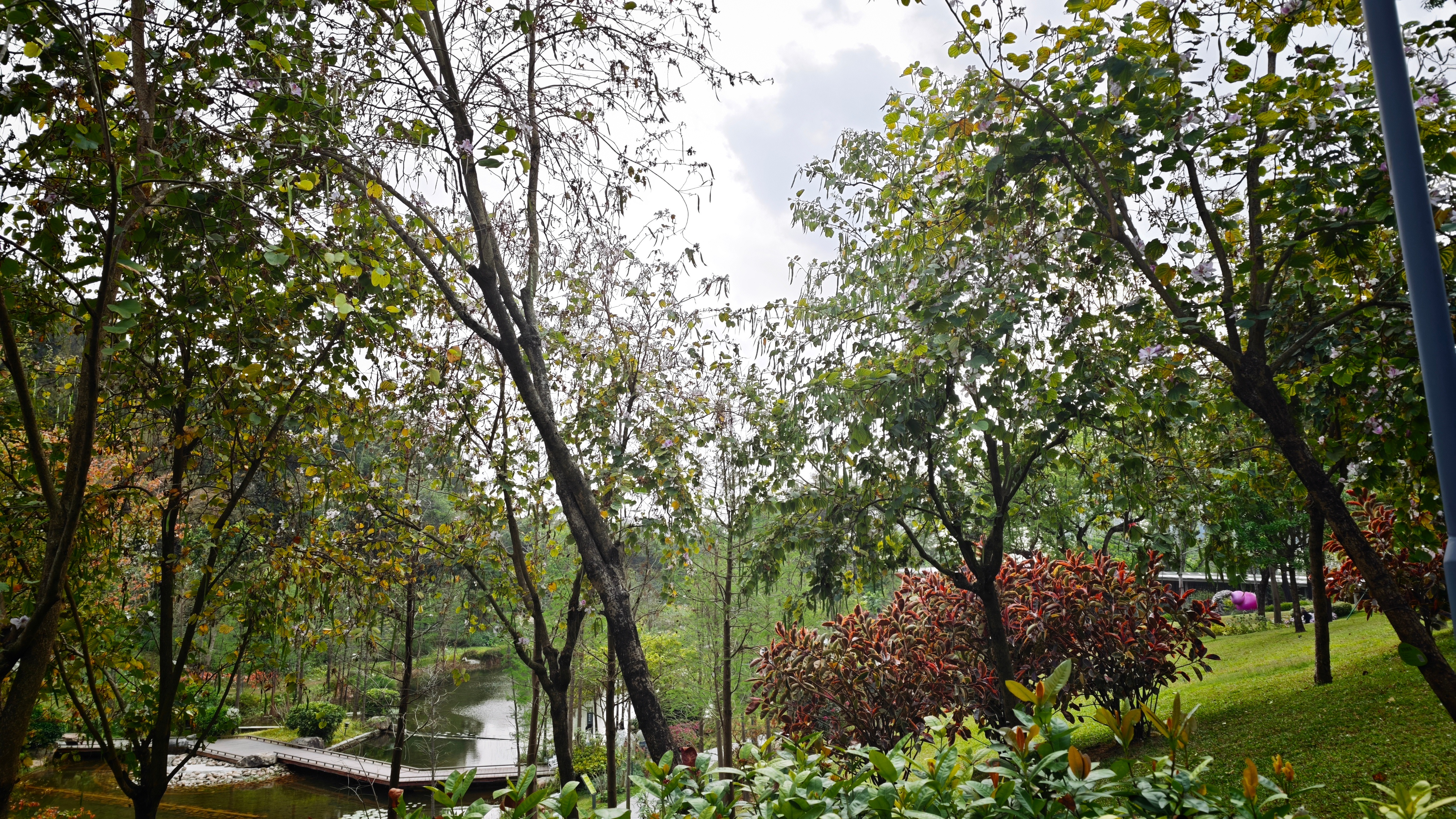 每天一公园，医生远离我 