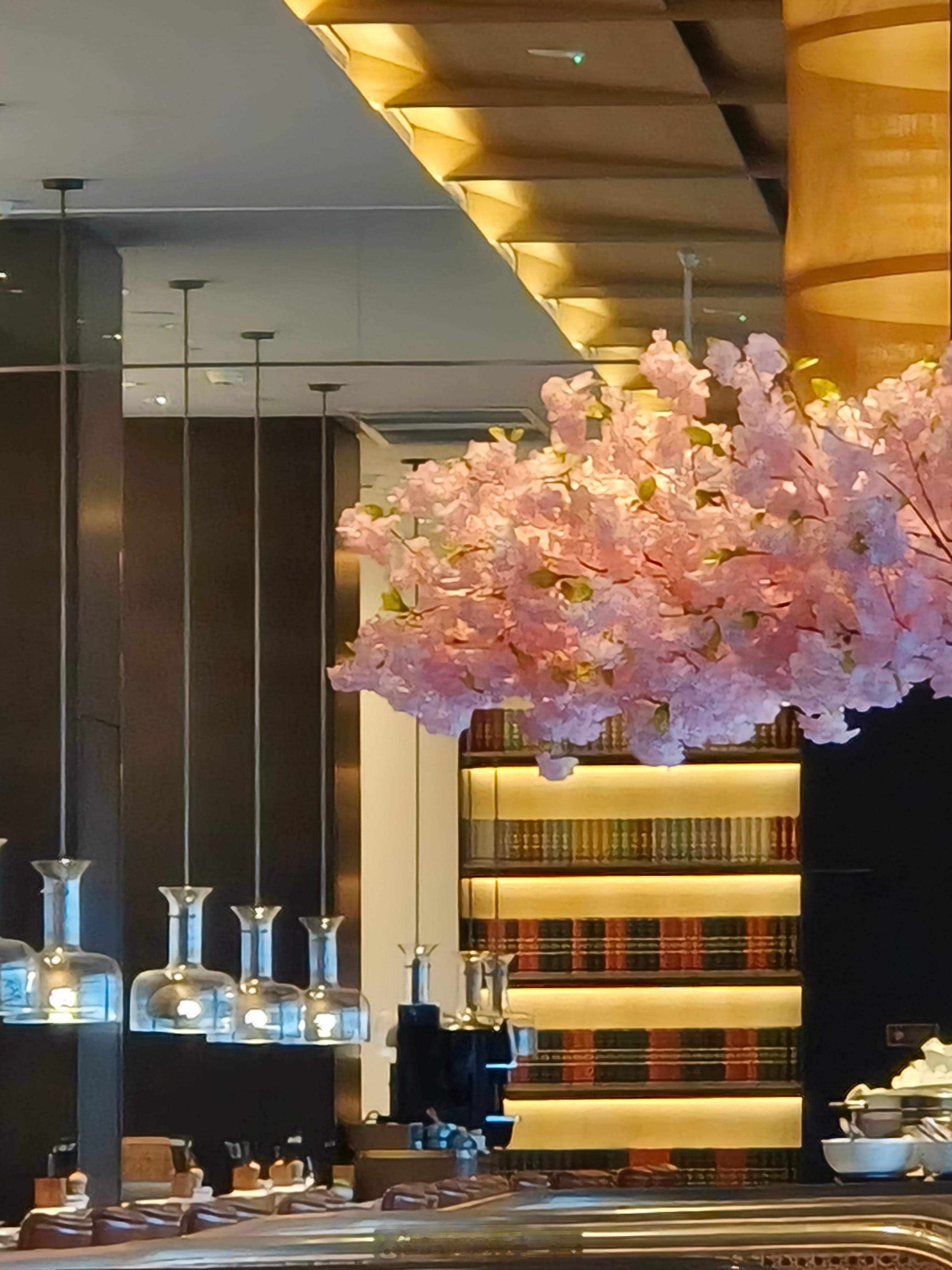 外国人免签对大城市酒店真是利好连早餐都得排队一股棒子味 