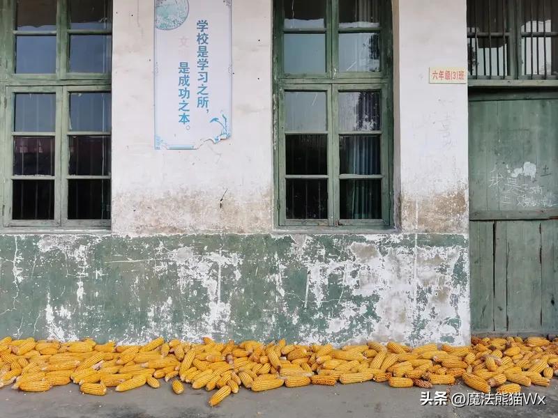 当下教育就像一场复杂的“混战”，城市教育在资源与竞争中一路狂奔，而乡村教育却因家